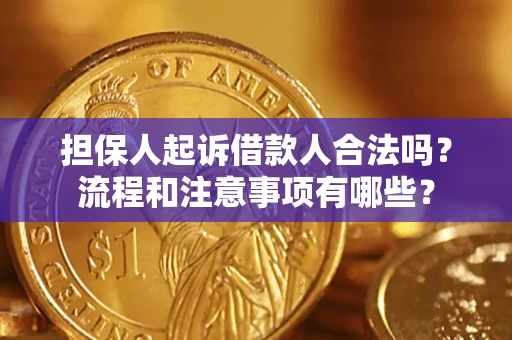 济南担保人起诉借款人合法吗？流程和注意事项有哪些？