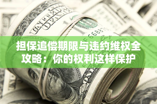 济南担保追偿期限与违约维权全攻略：你的权利这样保护
